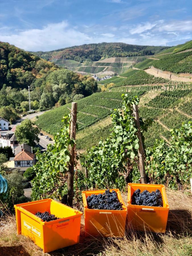 Ferienwohnung Ideenreich Bad Neuenahr-Ahrweiler Eksteriør bilde